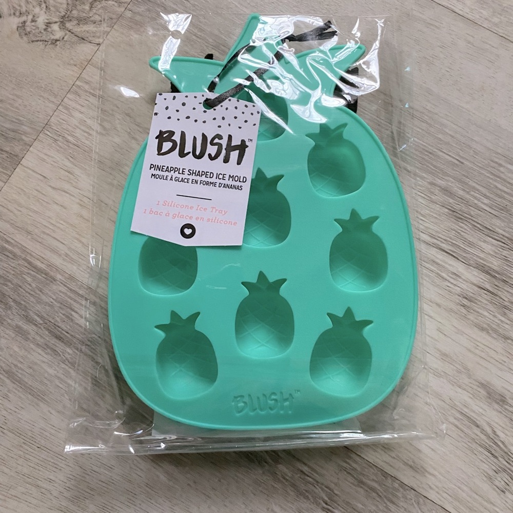 NWT Blush Pineapple Shaped Ice Cube Mold